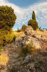 Similar image 21690879