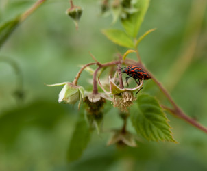 Similar image 21690884