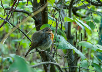 Similar image 21690891