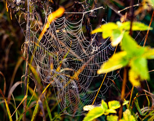 Similar image 21690896