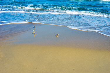 Similar image 21697218