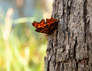 Similar image 21691186