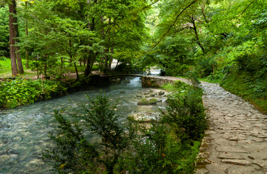 Similar image 21691190