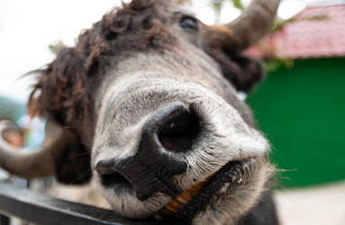 Similar image 21691192