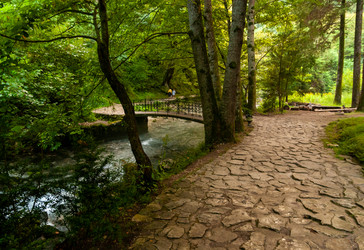 Similar image 21691202