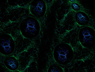 Similar image 21694857