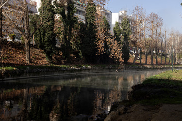 Similar image 21697363