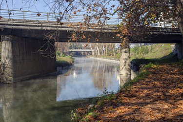 Similar image 21695867