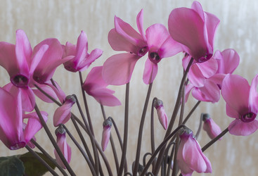 Similar image 21699597