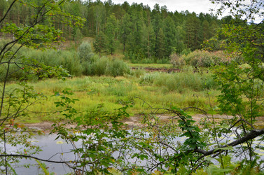 Similar image 21691227