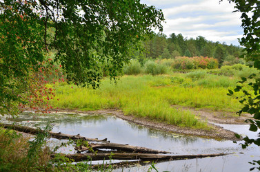 Similar image 21691228