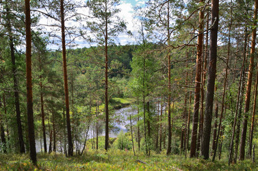 Similar image 21691241