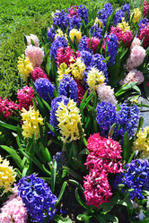 Similar image 21691242