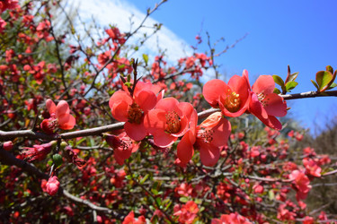 Similar image 21691243