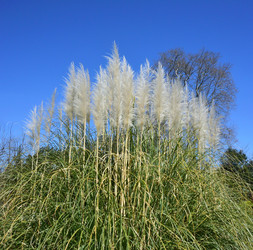 Similar image 21691244