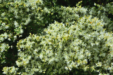 Similar image 21691245