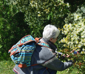 Similar image 21691246