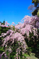 Similar image 21691247