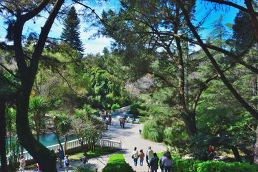 Similar image 21691250