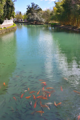 Similar image 21691251