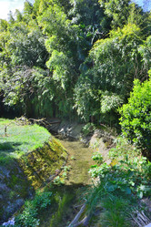 Similar image 21691253