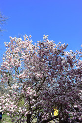 Similar image 21691254