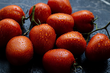 Similar image 21691256