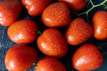 Similar image 21691257