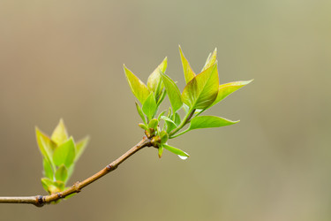 Similar image 21691262