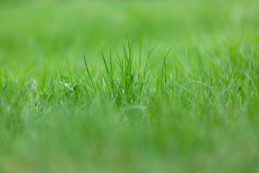 Similar image 21691263