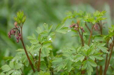 Similar image 21691264