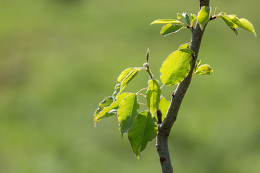 Similar image 21691265