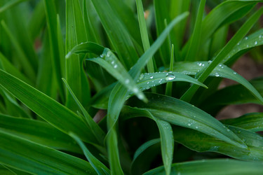 Similar image 21691266