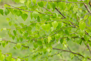 Similar image 21691267