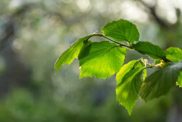 Similar image 21691268