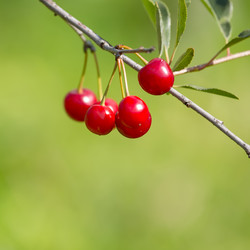 Similar image 21691269