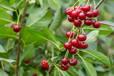 Similar image 21691270