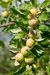 Similar image 21691271