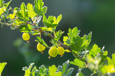 Similar image 21691272