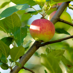 Similar image 21691275