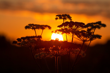 Similar image 21691276