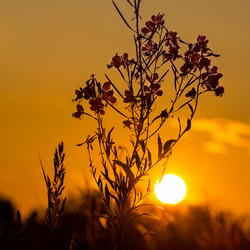 Similar image 21691277