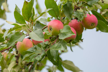 Similar image 21691278