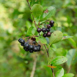 Similar image 21691279