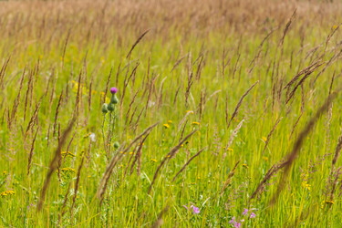 Similar image 21691280