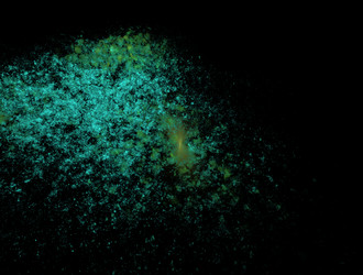 Similar image 21693835