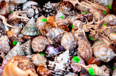 Similar image 21695870