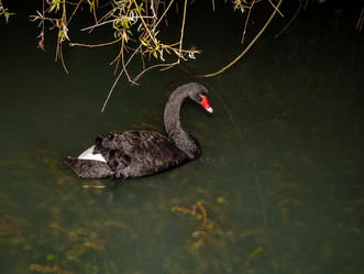 Similar image 21695876