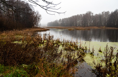 Similar image 21695880