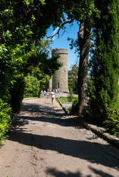 Similar image 21695884